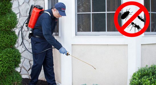 Feke Bit İlaçlama böcek ilaçlama ve haşere kontrolü — ilaclama-tr.com